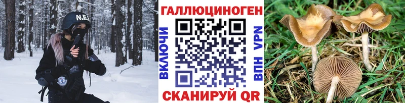 Псилоцибиновые грибы GOLDEN TEACHER Старая Русса